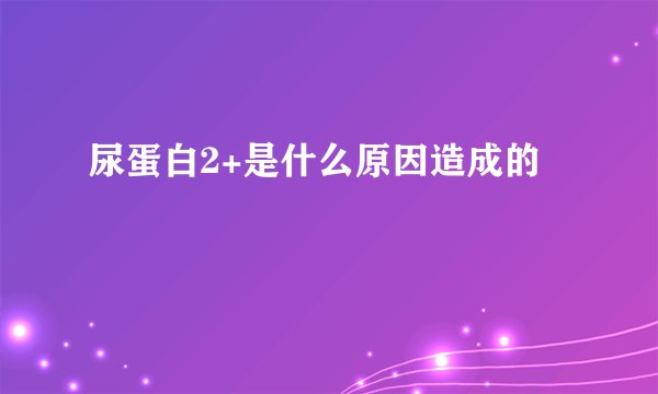 尿蛋白2+是什么原因造成的