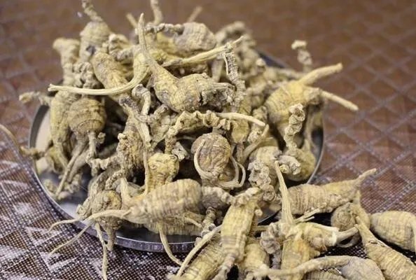 美国十大特产 鲍鱼果上榜,第三是滋补佳品