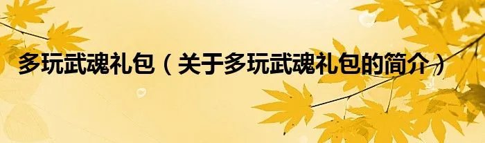 多玩武魂礼包（关于多玩武魂礼包的简介）