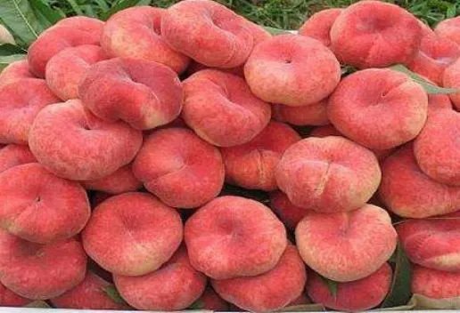 新疆喀什叶城知名特产有哪些 适合带回家的叶城特产