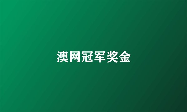 澳网冠军奖金