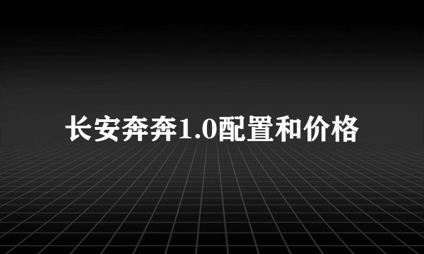 长安奔奔1.0配置和价格