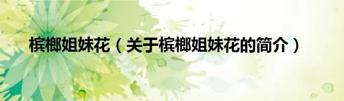 槟榔姐妹花（关于槟榔姐妹花的简介）