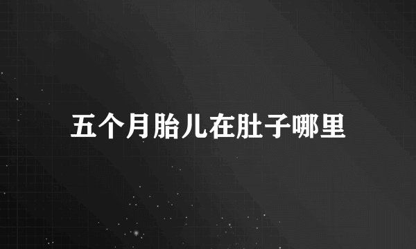 五个月胎儿在肚子哪里