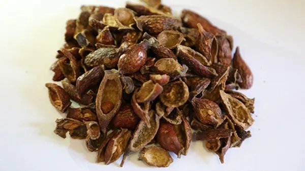 怡可安的使用说明书请收藏   怡可安每天的剂量多少适合