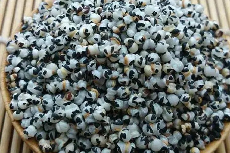 马不留中药图片大全