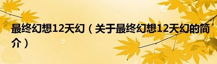 最终幻想12天幻（关于最终幻想12天幻的简介）