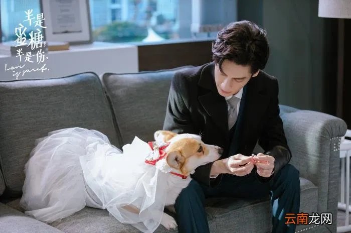 罗云熙晒结婚照太般配 罗云熙结婚照