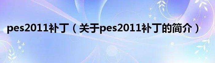 pes2011补丁（关于pes2011补丁的简介）