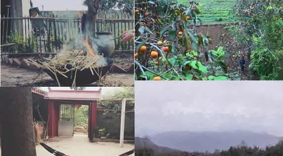 李子柒家的院子全景图 真实场景原来是这样子的