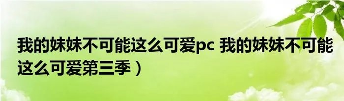 我的妹妹不可能这么可爱pc 我的妹妹不可能这么可爱第三季）
