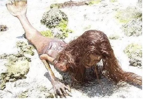 美人鱼照片真身吓死人？美人鱼是否真实存在呢？