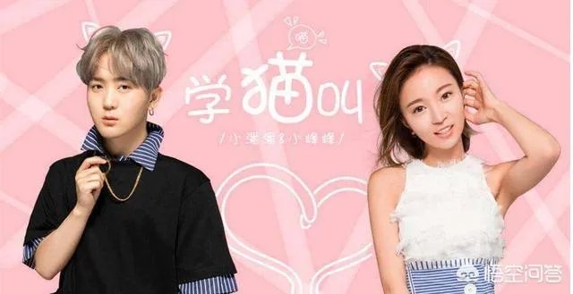 如何评价《学猫叫》这首歌？歌词有哪些含义？