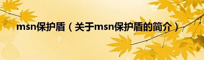 msn保护盾（关于msn保护盾的简介）
