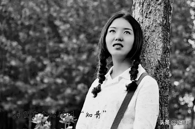 什么是单色照片作品?