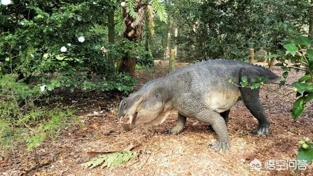 科学家发现2.2亿年前恐龙墓，谁给安葬的呀？