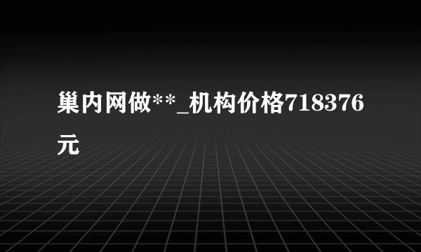 巢内网做**_机构价格718376元