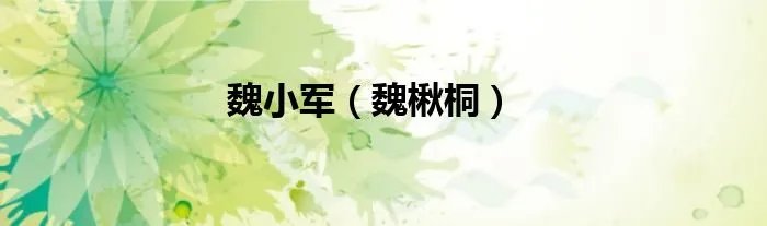 魏小军（魏楸桐）