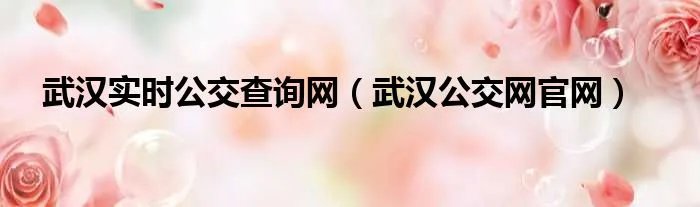 武汉实时公交查询网（武汉公交网官网）