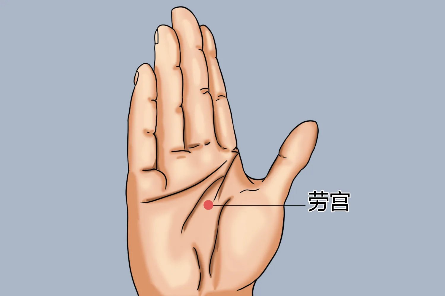 劳宫准确位置图作用功效