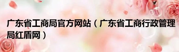 广东省工商局官方网站（广东省工商行政管理局红盾网）