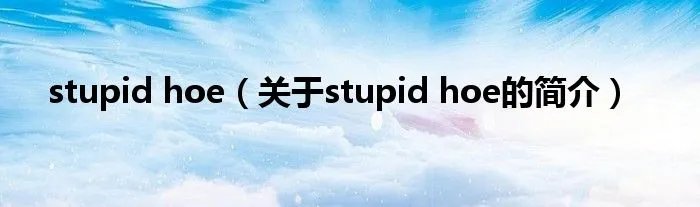 stupid hoe（关于stupid hoe的简介）