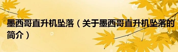 墨西哥直升机坠落（关于墨西哥直升机坠落的简介）