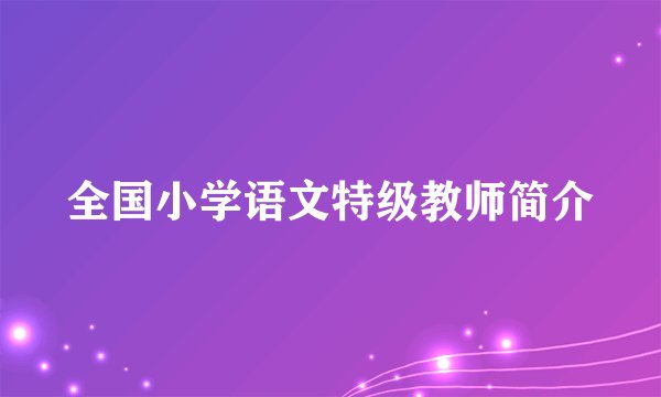 全国小学语文特级教师简介