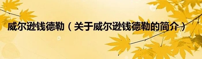 威尔逊钱德勒（关于威尔逊钱德勒的简介）