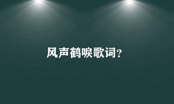 风声鹤唳歌词？