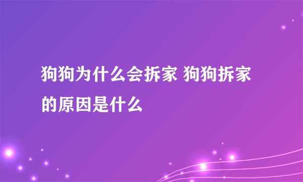 狗狗为什么会拆家 狗狗拆家的原因是什么