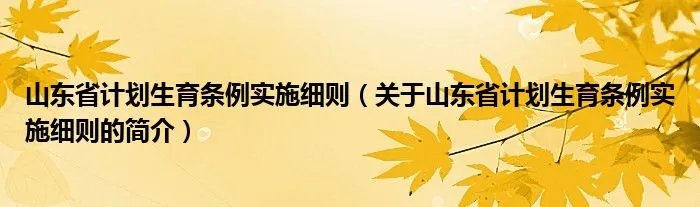 山东省计划生育条例实施细则（关于山东省计划生育条例实施细则的简介）