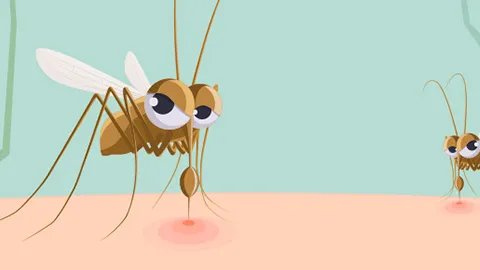 臭虫咬的症状是什么样子