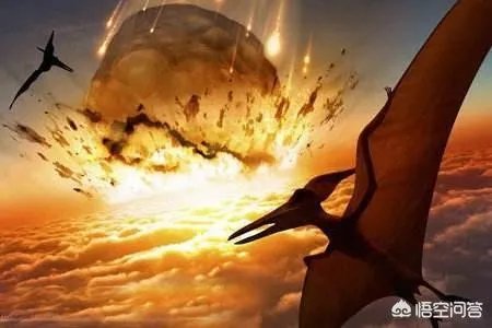 科学家发现2.2亿年前恐龙墓，谁给安葬的呀？