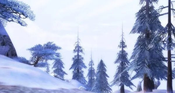 中国游客在日本见义勇为被困雪山 已成功获救