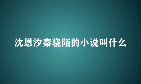 沈恩汐秦骁陌的小说叫什么