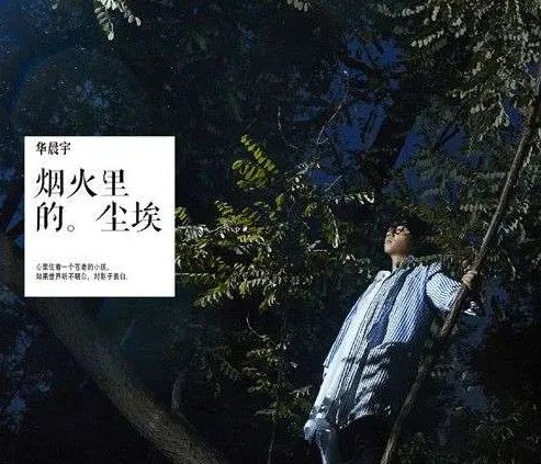 华晨宇《烟火里的尘埃歌词赏析,表达什么意思