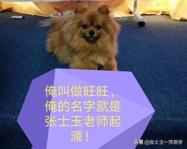 算卦取名真的很重要吗？