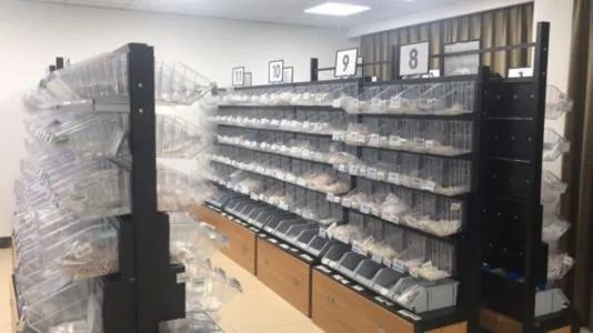 上海破获首例网红直播带货售假案,这起假案是如何破获的?