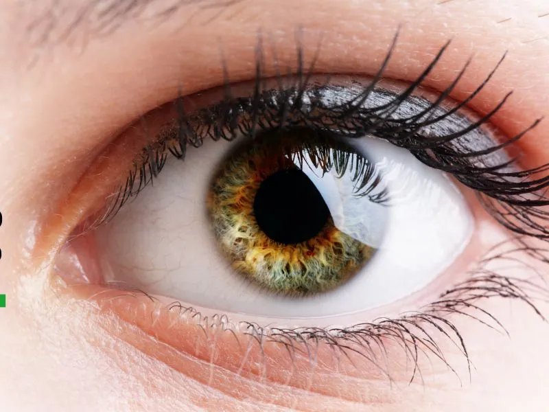 近视回归镜的原理