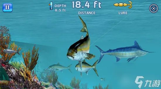 垂钓王蓝马林怎么钓 垂钓王手游钓鱼技巧推荐