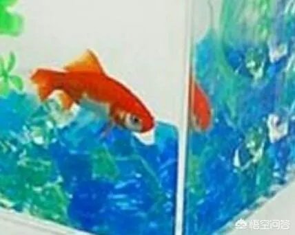 什么时候天上会出现三个太阳?