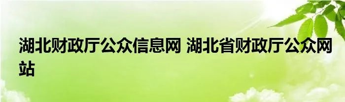 湖北财政厅公众信息网 湖北省财政厅公众网站