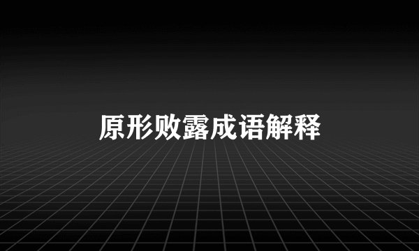 原形败露成语解释