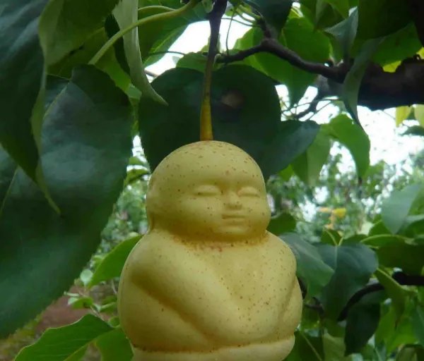 偷吃人参果上的故事是什么？