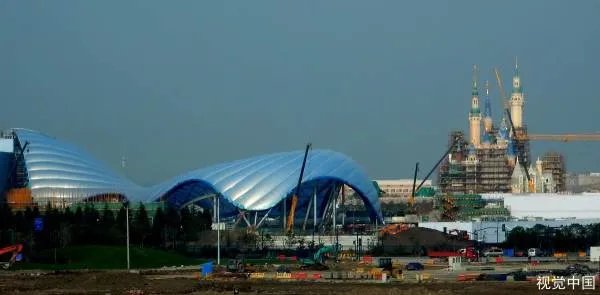 迪士尼的游客在排队时昏倒身故，导致其身亡的原因是什么？