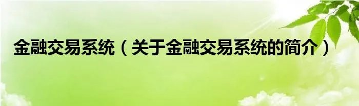 金融交易系统（关于金融交易系统的简介）