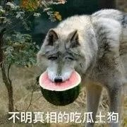 如何看待明星八卦421总汇？