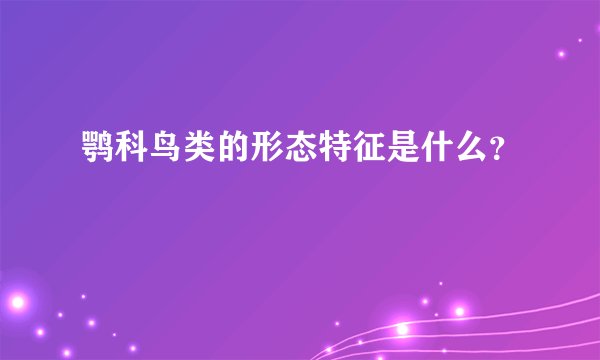 鹗科鸟类的形态特征是什么？