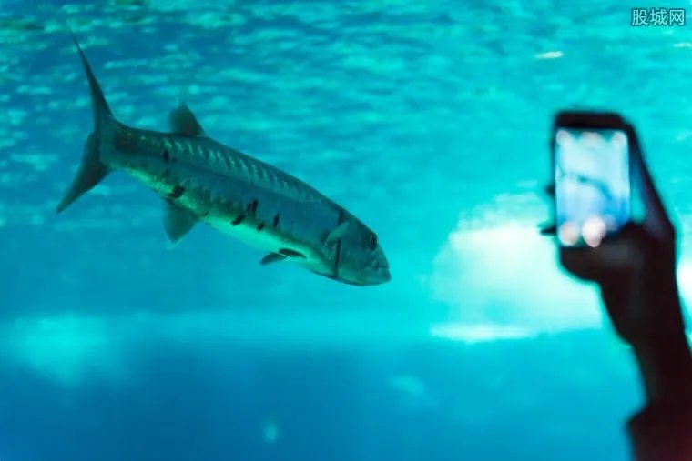 中国最深海底隧道 工程预计投资14亿元